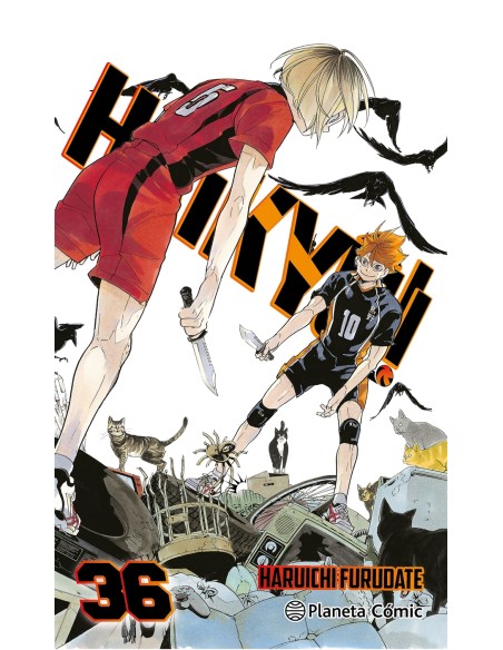 Haikyu nº 36 45